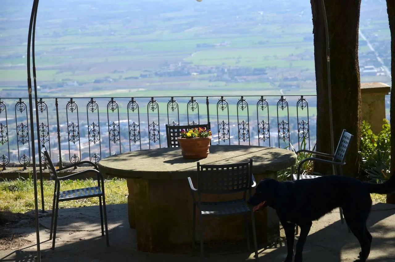 Donnaberarda Apartment Cortona 0*,